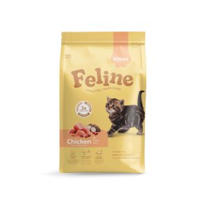 HobbyFirst Feline Kitten  -1 jaar 4,5 kg.