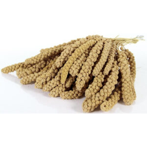 Trosgierst Chinese 10 inch 15 kg.