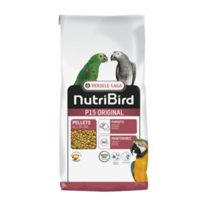 P15 Original papegaai 10 kg.