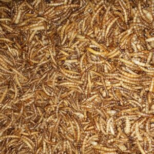 Meelwormen gedroogd 5 kg.