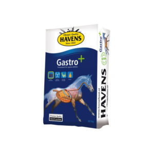 Havens Gastro + 20 kg.