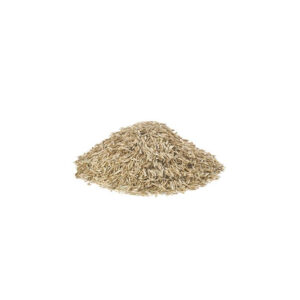 Graszaad BG 3 (per kg.)