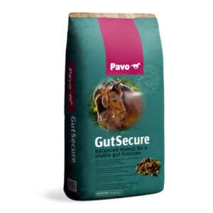 Pavo GutSecure 15 kg.