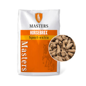 Masters Sport-Extra