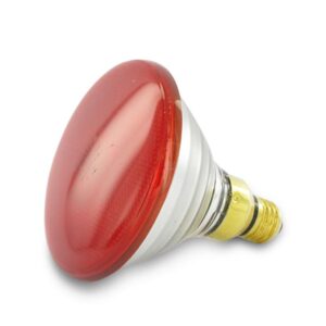 Warmtelamp roodlicht 175W