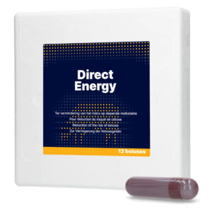 Direct Energie Bolus 12 stuk