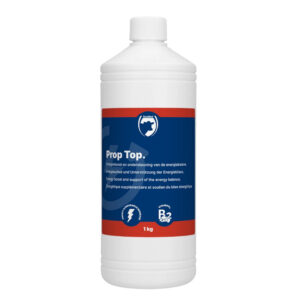 Prop Top propyleenglycol 1 kg.