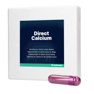 Direct Calcium Bolus 12 stuk
