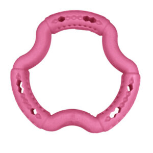 Speelgoed Hond Tpr Ring Rood Aardbei 21 cm.