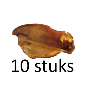 Varkensoor (10 stuks)