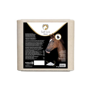 Liksteen Mineral Horse 10 kg.