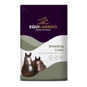 EquiLannoo Breeding Cube 20 kg.