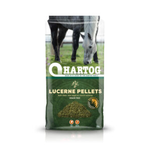 Hartog Luzernebrok 20 kg.