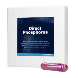 Direct Fosfor Bolus 12 stuk